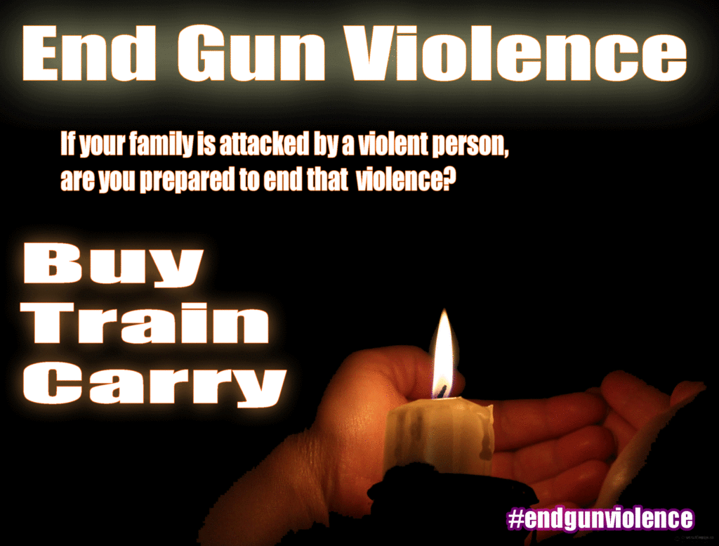 End Gun Violence Wyoming