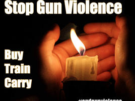 End Gun Violence Campaign