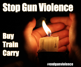End Gun Violence is not an honest term.