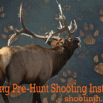 Ethical Hunting and Hunting Stories