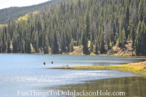 Soda Lake Fishing Gros Ventre Wyoming
