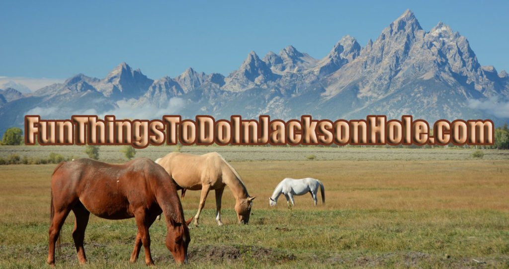 Things to do in jackson hole Wy