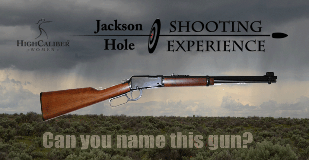 Lever Action 22 Rifle