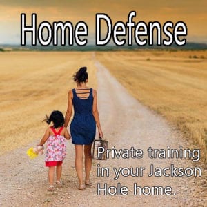 In-Home Personal Protection Training