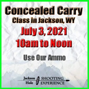 Concealed Carry Permit Training