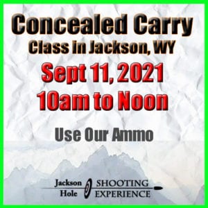 Concealed Carry Permit Training